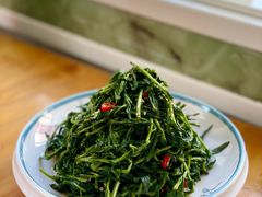 枸杞苗-三益轩(总店)