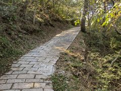 -金龙寺国家森林公园