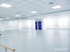 -西安小天鹅艺术团(金花路校区)