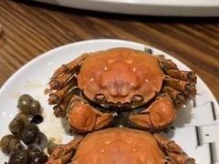-品鲜村农家菜·阳澄湖大闸蟹(总店)