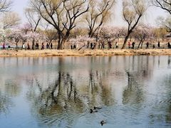 -颐和园
