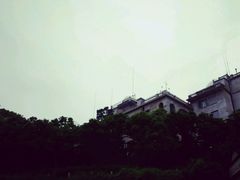 -上海佘山国家森林公园西佘山园