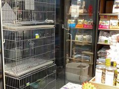 -小呆的宠物店·宠物售卖·宠物寄养(城西店)