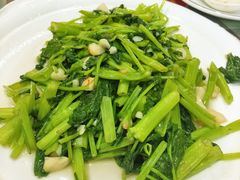 -梅子大排档