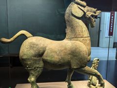 -广西壮族自治区博物馆