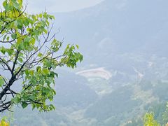 -北京十三陵国家森林公园蟒山景区