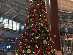 -上海雅居乐万豪侯爵酒店