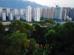 -金鸡山公园