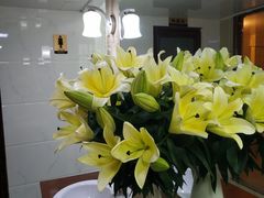 -农汤老店(顺联公园里店)