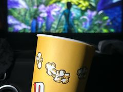 -枫花园汽车电影院(朝阳公园店)