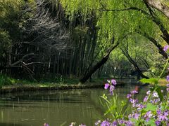 -同里国家湿地公园