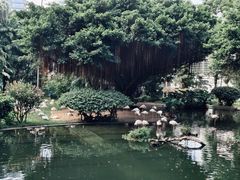 -九龙公园