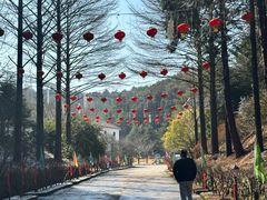 -四明山国家森林公园