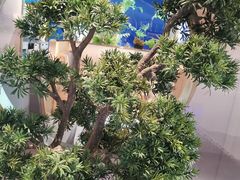 -马家斑.鲜鱼火锅(松湖万科店)
