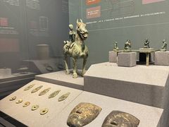 -广西壮族自治区博物馆