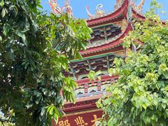 -南普陀寺