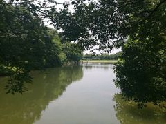 -象山森林公园