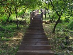 -北京十三陵国家森林公园蟒山景区
