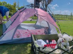 -春花秋色城市公园