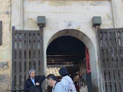 -福建土楼（华安）旅游区•大地土楼群