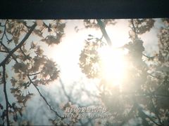 -南宁时代电影大世界(CGS激光中国巨幕)