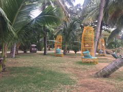 -三亚海棠湾万丽度假酒店