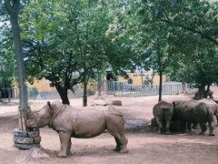 -西安秦岭野生动物园