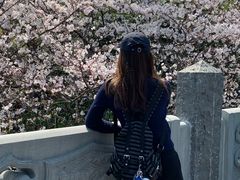 -香积寺