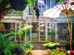 -Fern Forest Cafe