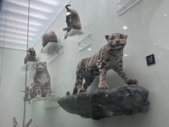 -国家自然博物馆