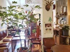 -懒鱼时光馆(沙坪坝店)