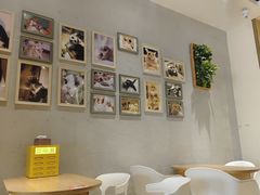-藏猫猫咖啡主题馆(中央大道店)