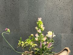 -帝京日语(春熙路旗舰校区)