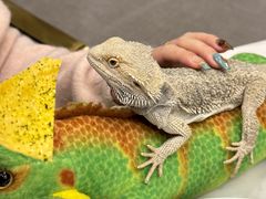 -FAIRYLAND龙族星球主题餐厅(凯丹广场店)