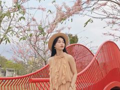 -白石龙音乐公园