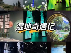 -中国湿地博物馆