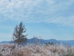 -东钱湖旅游度假区