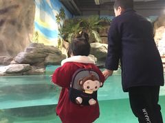 -台州海洋世界