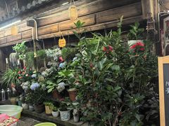 -龙姐私房菜(和顺古镇店)