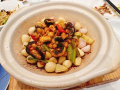 -粤珍轩·家宴·广式茶点(新城广场店)