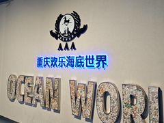 -重庆欢乐海底世界
