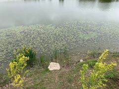 -东郊湿地公园