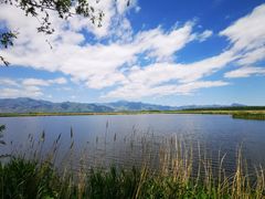 -野鸭湖国家湿地公园