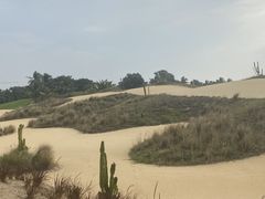 -海南鉴湖蓝湾高尔夫球会