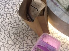 -momokira米努特·德文卷毛猫·棉花面纱犬