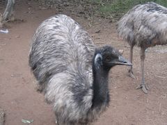 -广东茂名森林公园