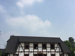 -金山农民画村-枫泾波兰倒置屋