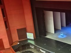 -合肥大剧院