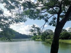 -东莞植物园