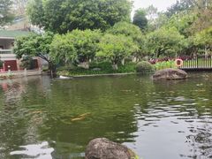 -名树园